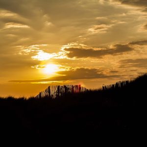 Patriot RAM 32GB DDR5 5600 SOD