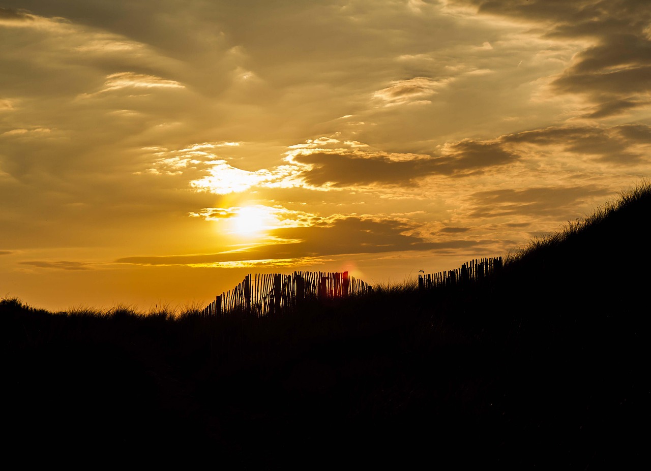 Patriot RAM 32GB DDR5 5600 SOD