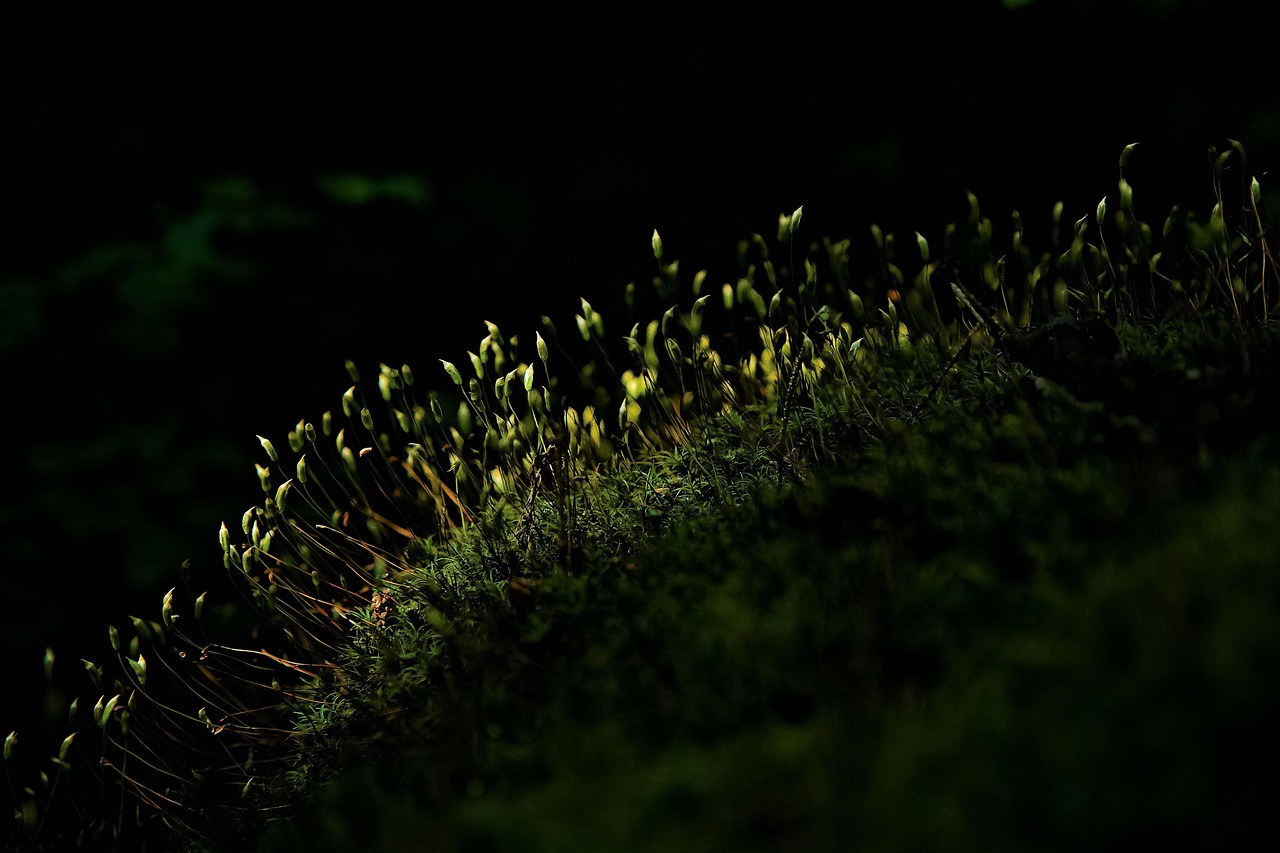 ASROCK MB B860M-H22xDDR5, 2xM.2, 4xSATA, 13xUSB2xHDMI, RAID, Micro ATX