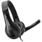 CANYON PC headset CHSU-1 PC Mic USB 2m Black